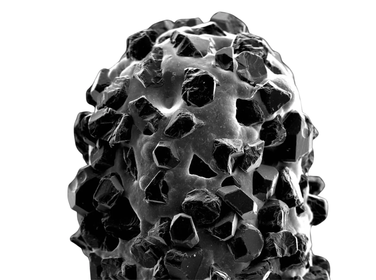 Surface d’émail mordancé vue au microscope électronique